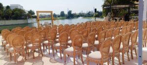Netback Beige Dior Chair - Image 3