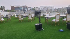 Eliza Gold Dior Chair - Image 4