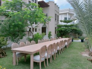 Netback Beige Dior Chair - Image 4