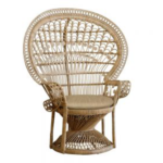 Peacock Chair
