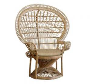 Peacock Chair